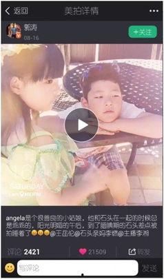 爆料花仙子视频,揭秘仙界奇遇与神秘力量